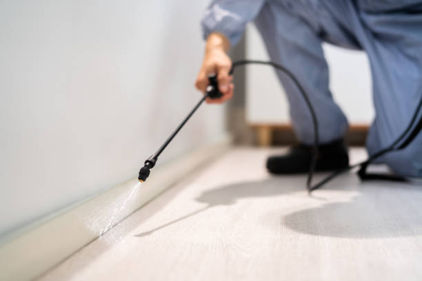 Bed Bug Pre-Treatment Preparation Assessment in Allegan