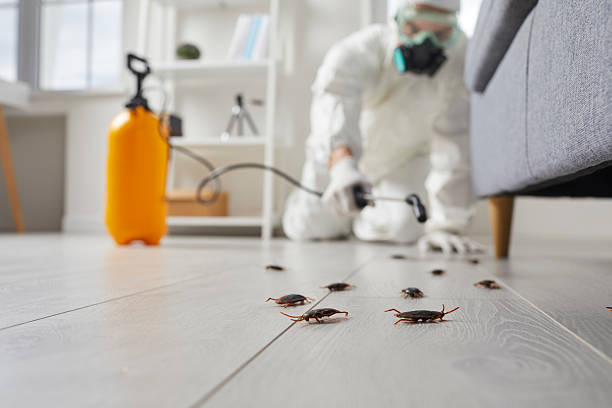 Post-Treatment Bed Bug Interceptor Monitoring in Allegan