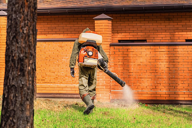 Bed Bug Clearance Verification and Documentation in Allegan